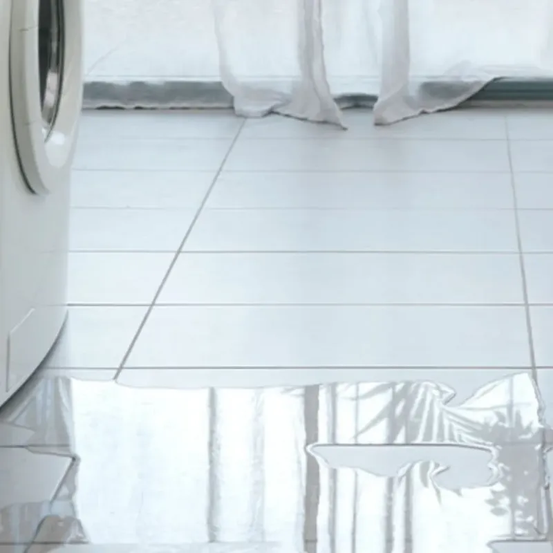 Appliance Leak Cleanup in Penobscot, ME
