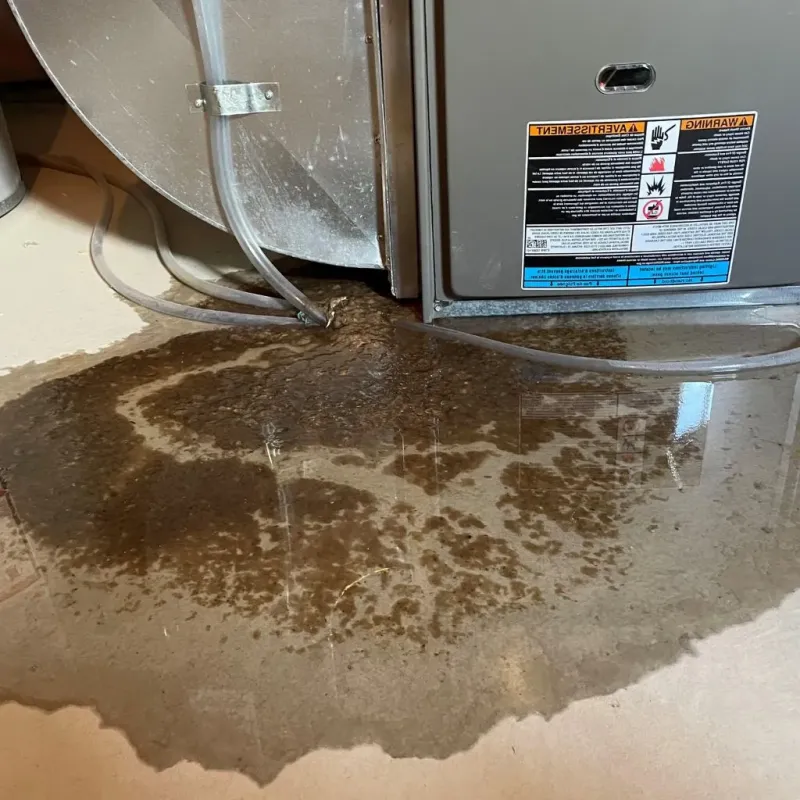 Pipe Burst and Leak Restoration in Penobscot, ME